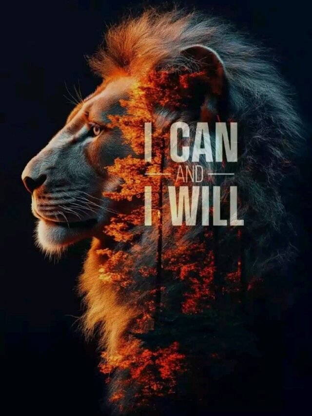 To live a harmonious life all you need is clarity of mind.