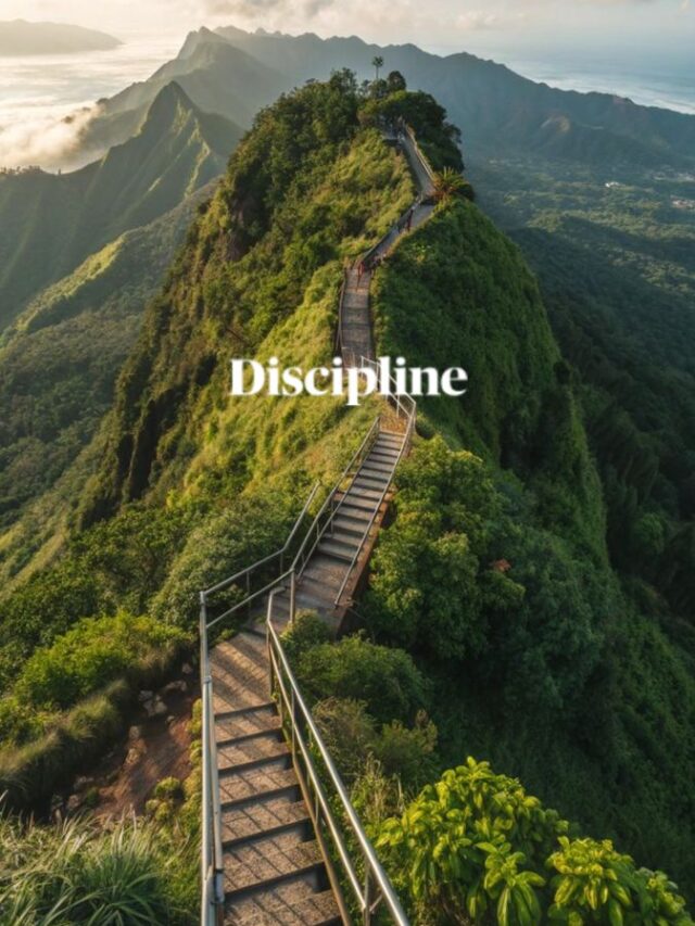 Money has a way of making life very easy.