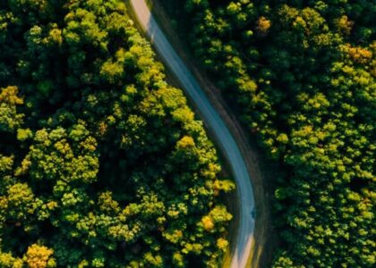 Risk taken in hope lead to inspiring returns.