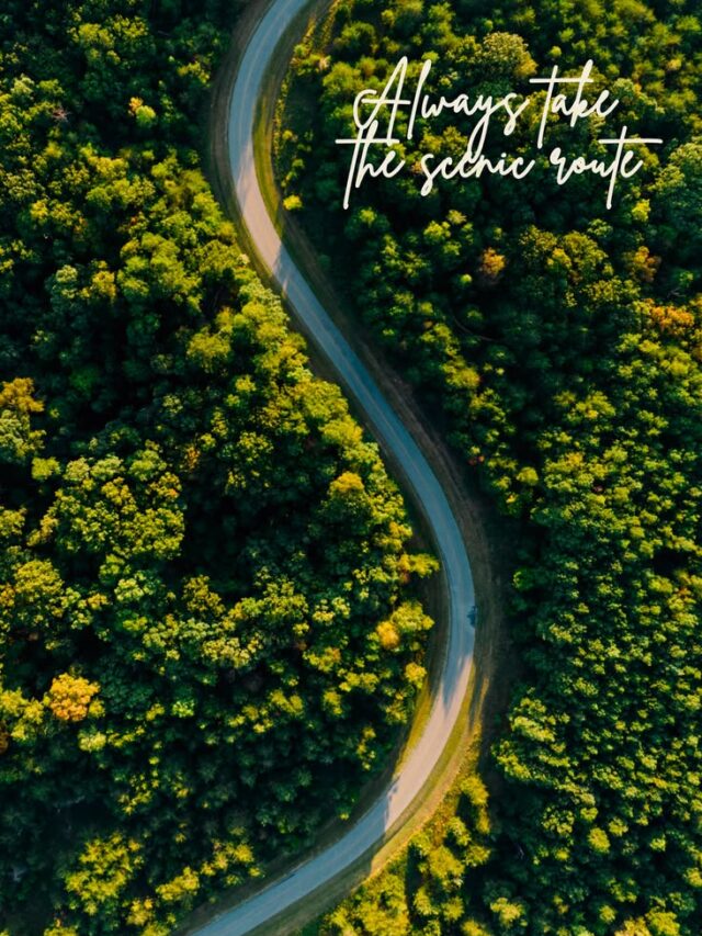 Risk taken in hope lead to inspiring returns.