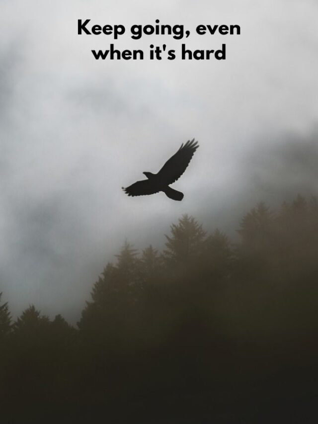 Keep going, even when its hard.