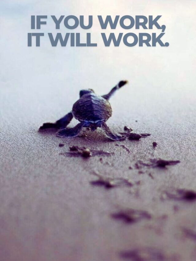 If you work, it will work.