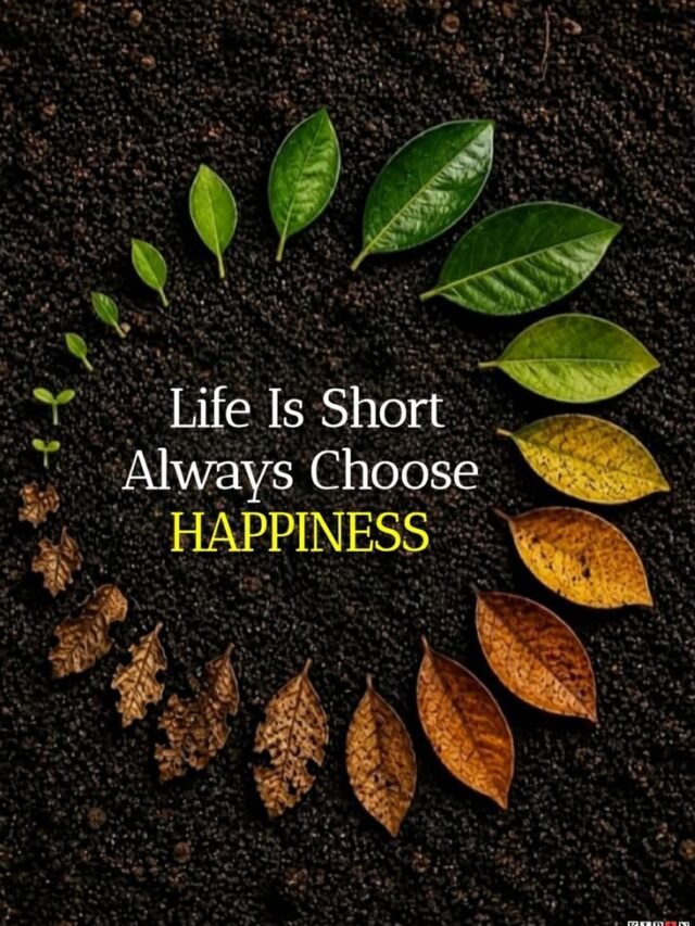 Live life on your terms.