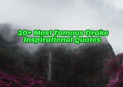 20+ Most Famous Drake Inspirational Quotes