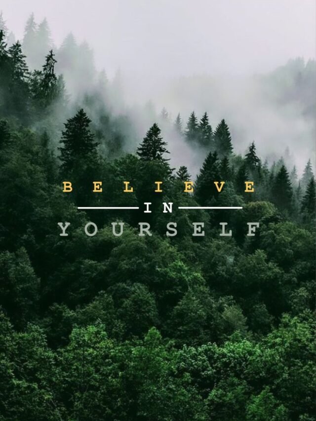 As soon as you trust yourself, you will know how to live.