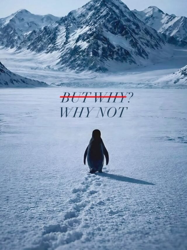 All that is required to realize the self is to ”Be Still”.