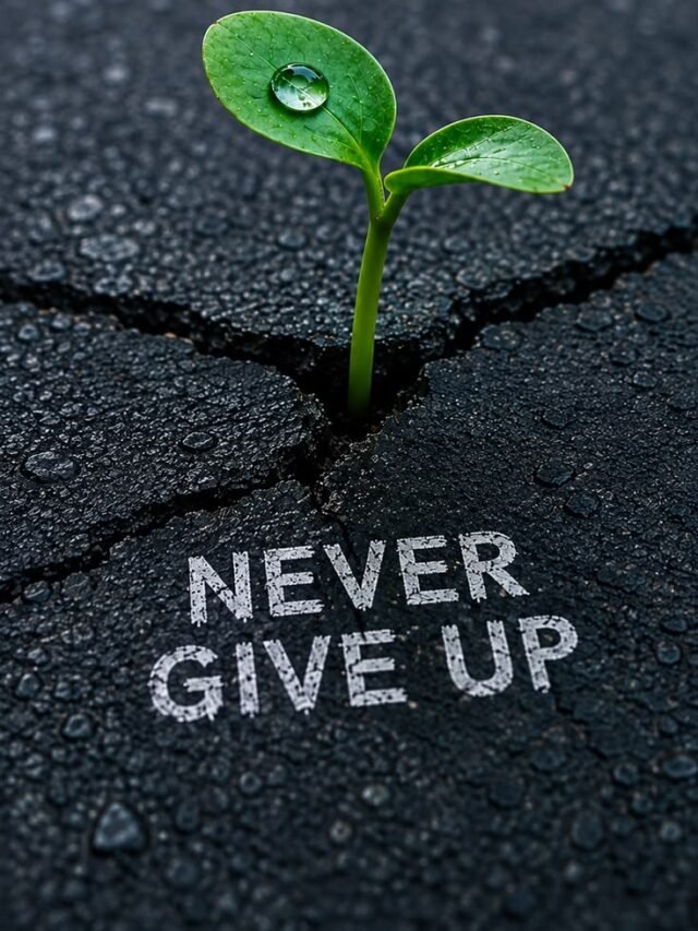 The day will dawn when you will laugh at you past efforts.