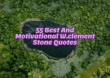55 Best And Motivational W.clement Stone Quotes